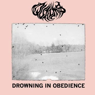 Drowning In Obedience by Qualms - album cover