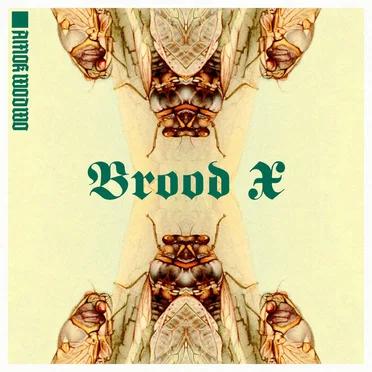 Brood X