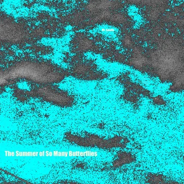 The Summer of So Many Butterflies