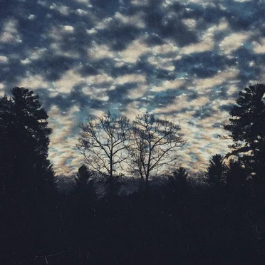 Where the Light Won't Reach by Andre Bernier - album cover