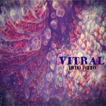Vitral by Bicho Pablo - album cover