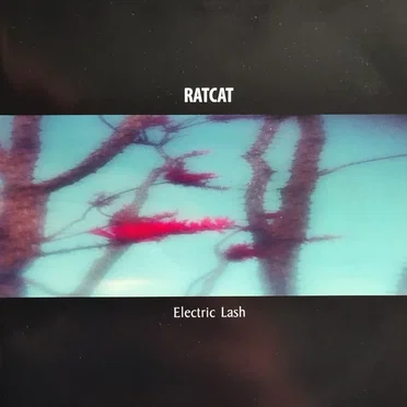 Electric Lash