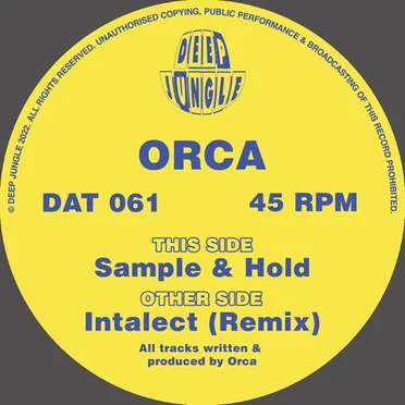 Intalect Remix / Sample and Hold