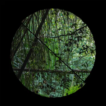 Biome by Llyr - album cover