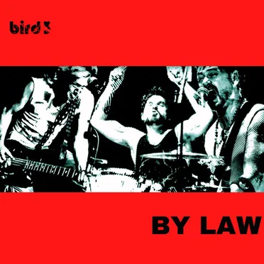 By Law