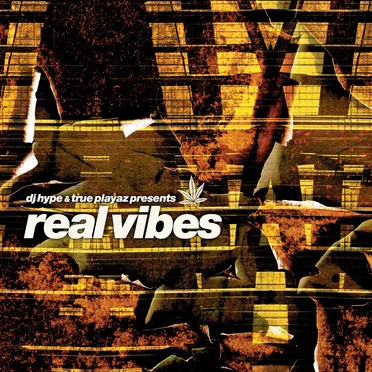 Real Vibes by Various Artists - album cover