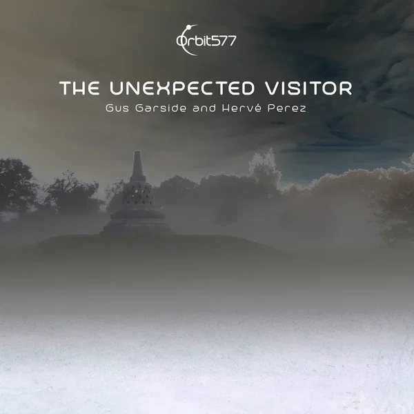 The Unexpected Visitor