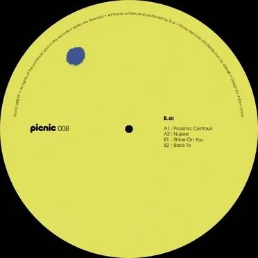 PICNIC008 by B.AI - album cover