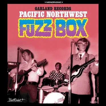 Pacific Northwest Fuzz Box by Various Artists - album cover
