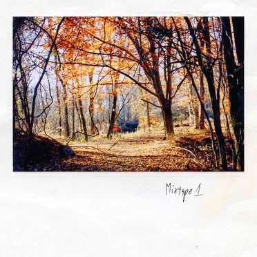 Mixtape by Ricky Eat Acid - album cover