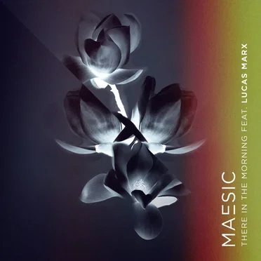 There in the Morning