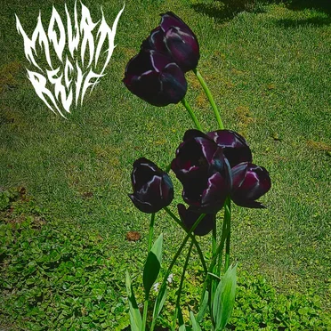 Mourn Recif by Mourn Recif - album cover