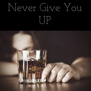 Never Give You Up