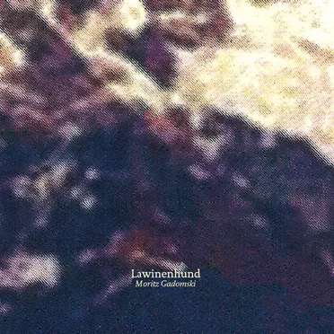 Lawinenhund by Moritz Gadomski - album cover