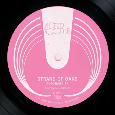 Pink Rabbits by Strand of Oaks - album cover