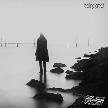 Feeling Great by Hats Off Gentlemen It’s Adequate - album cover