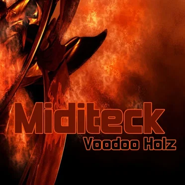 Voodoo Holz by Miditeck - album cover