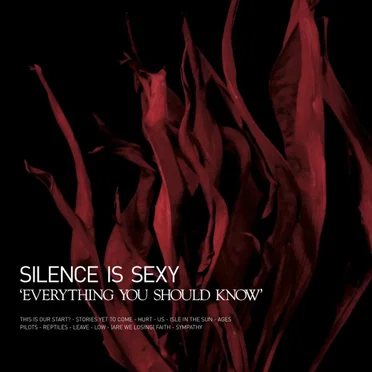 Everything You Should Know by Silence is Sexy - album cover