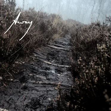 Birch Path by AwAy - album cover