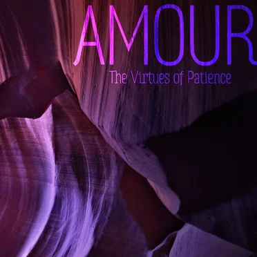 The Virtues of Patience by Amour - album cover