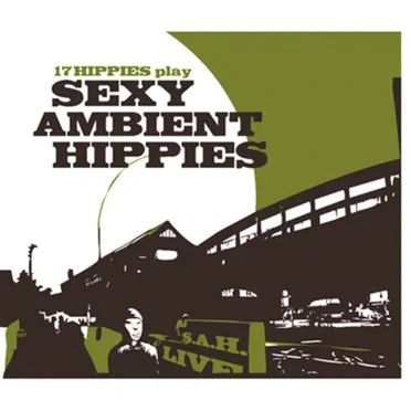 Sexy Ambient Hippies