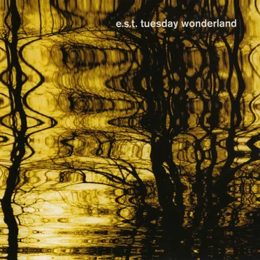 Tuesday Wonderland
