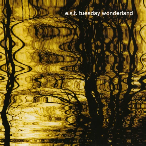 Tuesday Wonderland
