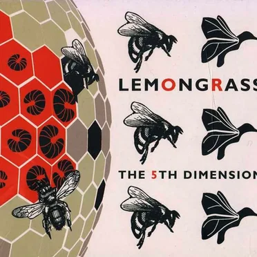 The 5th Dimension