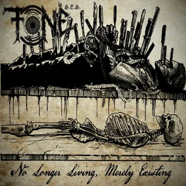 TONE S.T.S.