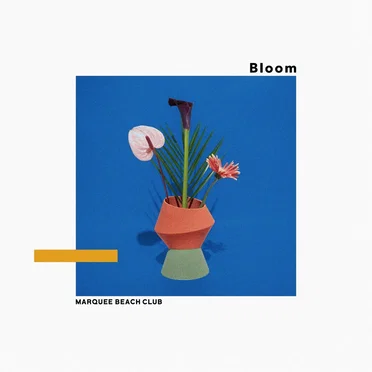 Bloom