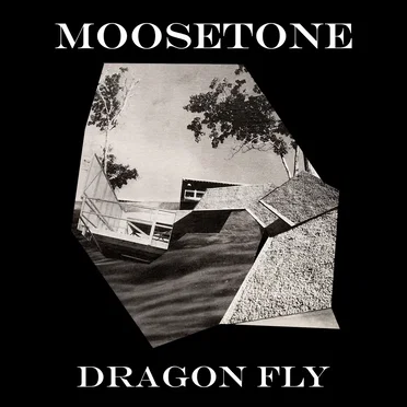 Dragon Fly by Moosetone - album cover
