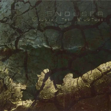 Calling the Vultures