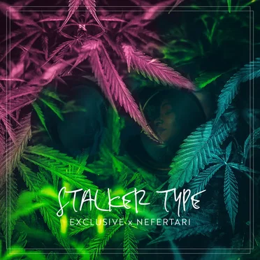Stalker Type