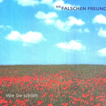 Wie Sie schläft