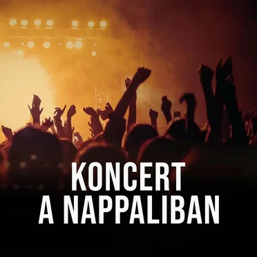 Válogatás a legjobb koncertfelvételekből by Various Artists - album cover