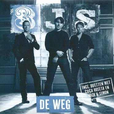 De weg