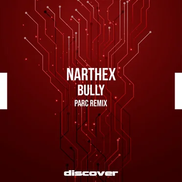 Bully (Parc remix) by Narthex - album cover