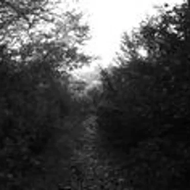 Shades of Sorrow