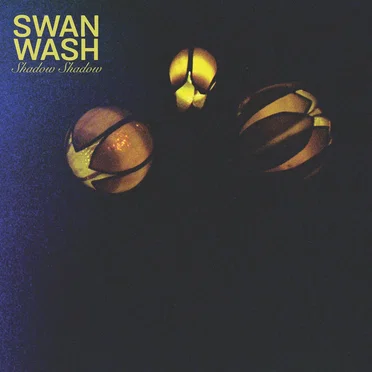 Swan Wash