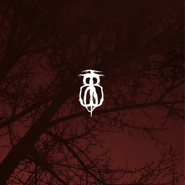 Dusk