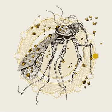 Rain Will Be the New Gold / Humongous Fungus