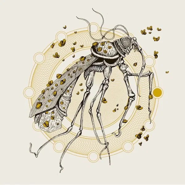 Rain Will Be the New Gold / Humongous Fungus