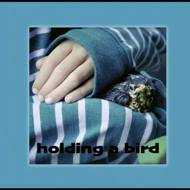 holding a bird