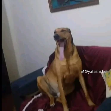 when you