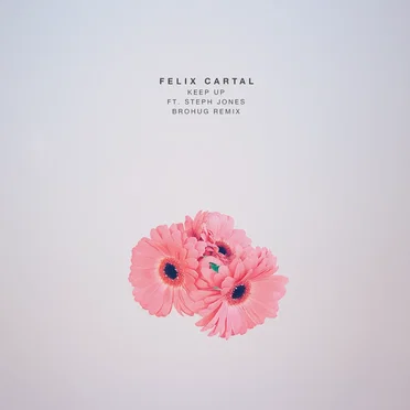 Keep Up (Brohug remix)