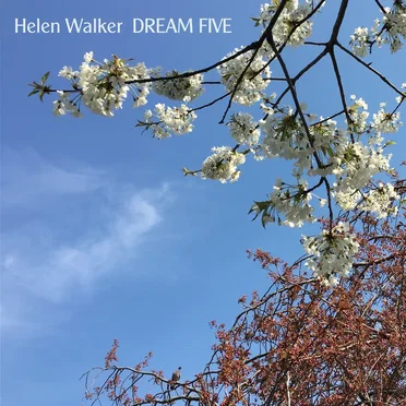 Dream Five