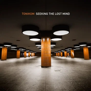 Seeking the Lost Mind by Tonikom - album cover