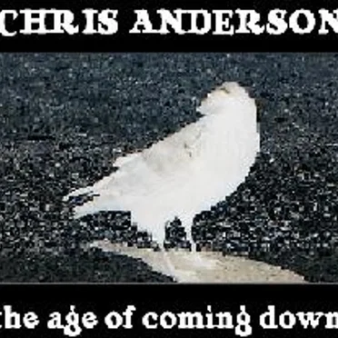 The Age Of Coming Down