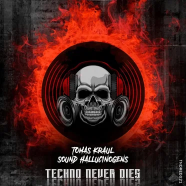 Sound Hallucinogens by Tomas Kraul - album cover