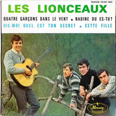 Quatre Garçons Dans Le Vent